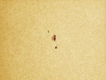 Vesta Pro su C8 al fuoco diretto