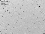 Asteroide 24818-Menichelli in negativo
