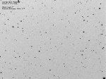 Asteroide 24818-Menichelli in negativo