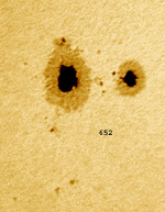 Vesta Pro su Celestron C8 al fuoco diretto