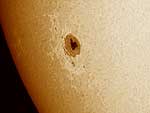 VestaPro su C8 al fuoco diretto