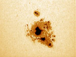 Celestron C8 e Vesta Pro al fuoco diretto