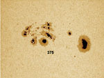 Vesta Pro su C8 al fuoco diretto